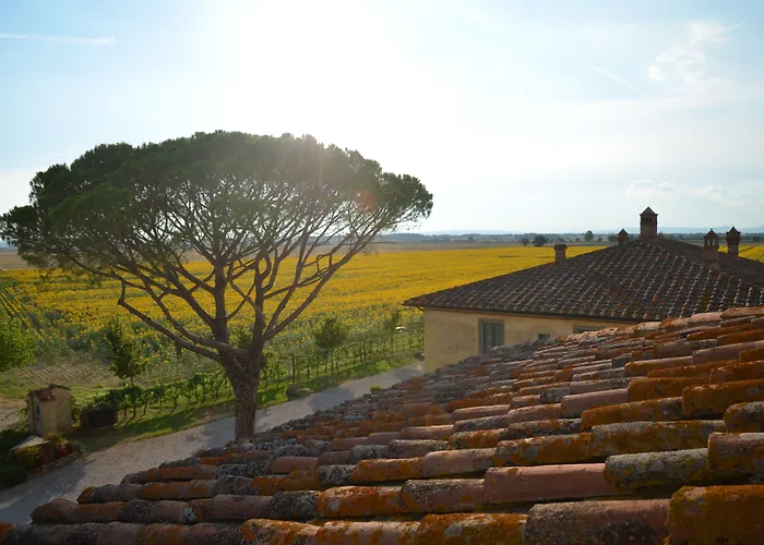 Cortona Resort-Le Terre Dei Cavalieri