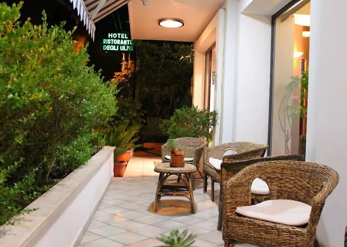 Hotel Degli Ulivi