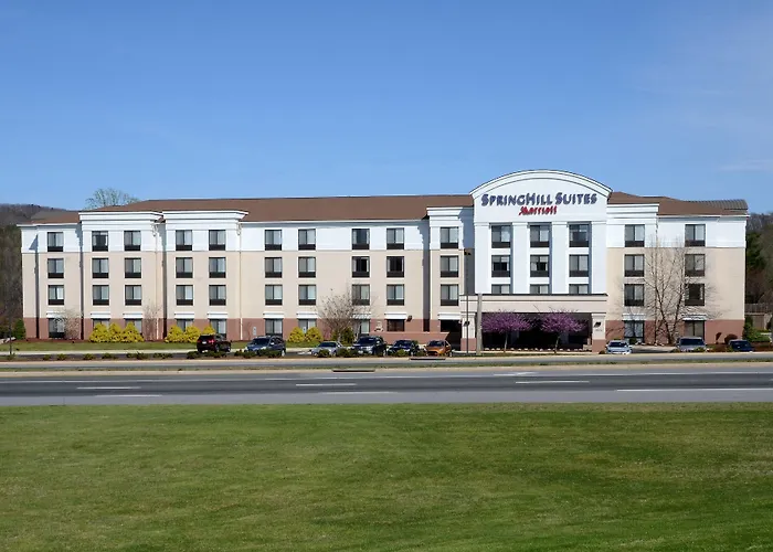 Springhill Suites By Marriott Lynchburg Airport/University Area