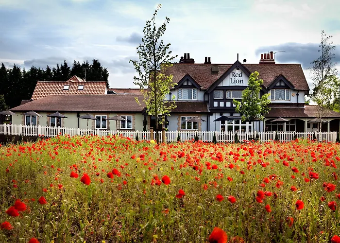 The Red Lion Inn By Chef & Brewer Collection