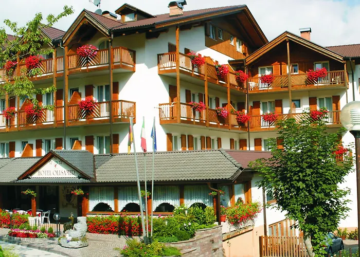 Beautiful View & Dream Hotel Olisamir