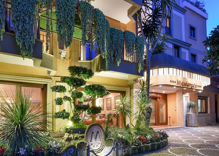 Hotel Michelangelo