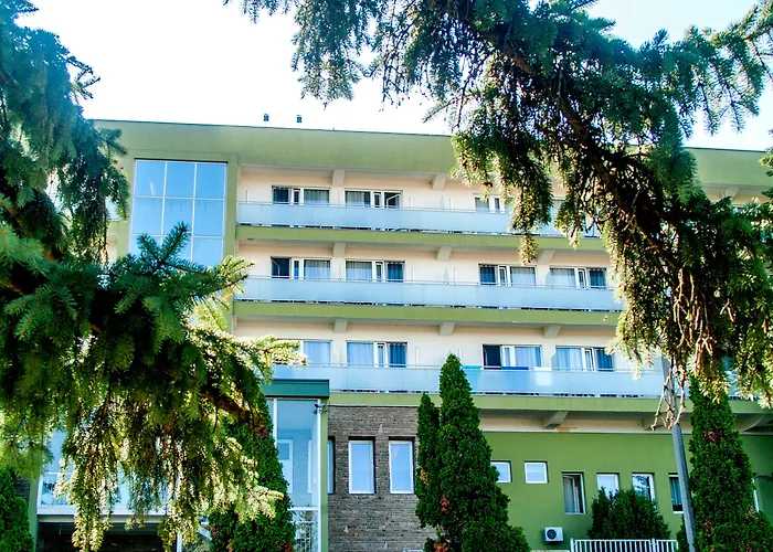 Hotel Fit Heviz
