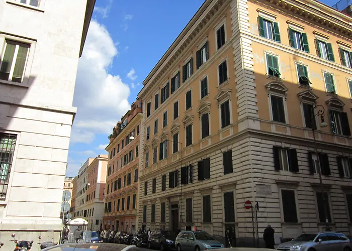 Evergreen Roma