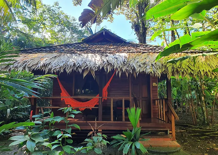 Cariblue Beach&Jungle Resort