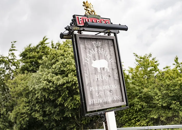 The Hampshire Hog