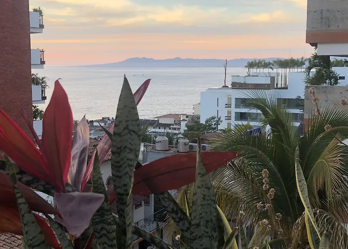 Amaca Petit Hotel - Zona Romántica - Puerto Vallarta - Adults Only