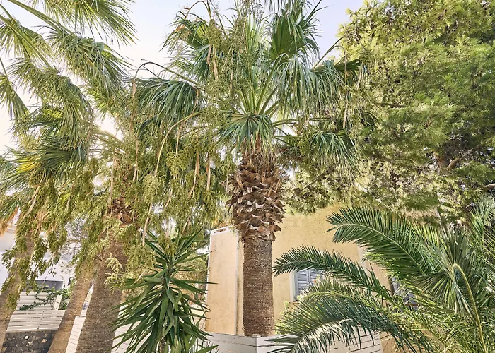 Meltemi Village Hotel