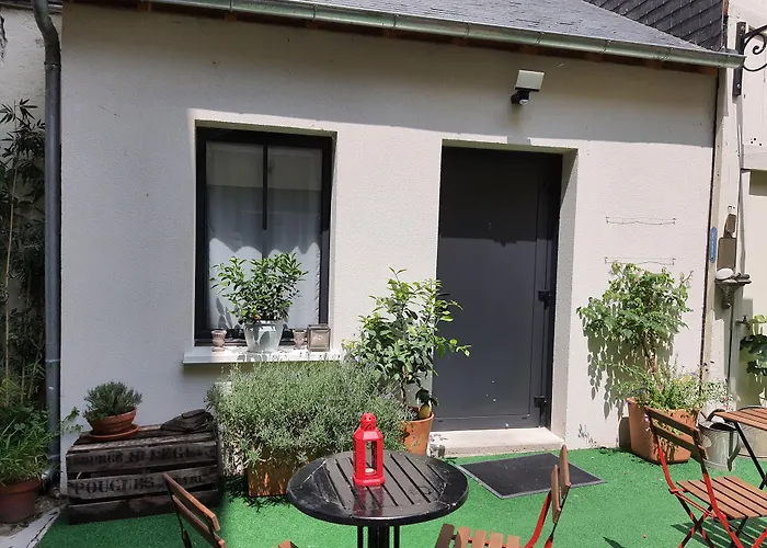 Hotel Du Cygne Tours
