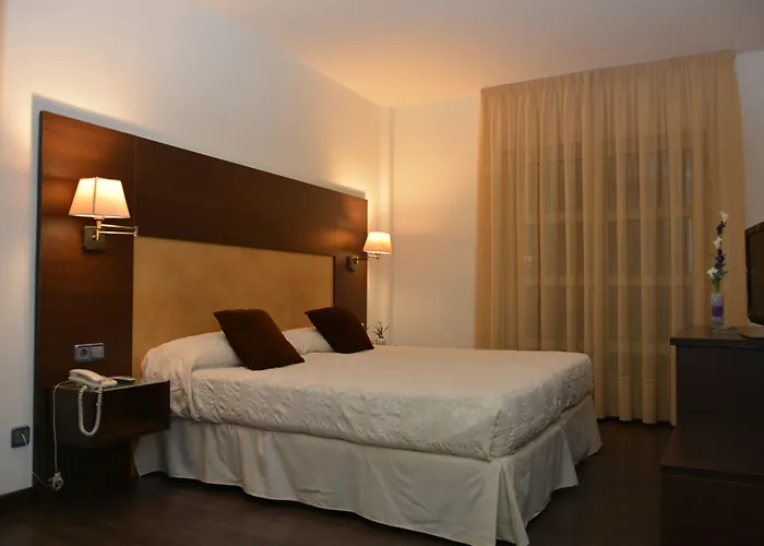Hotel Madrid Torrejon Plaza