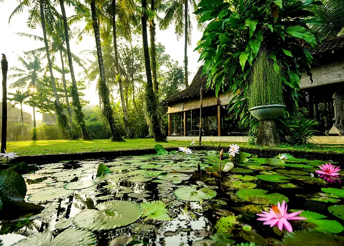 D'Omah Yogya Hotel