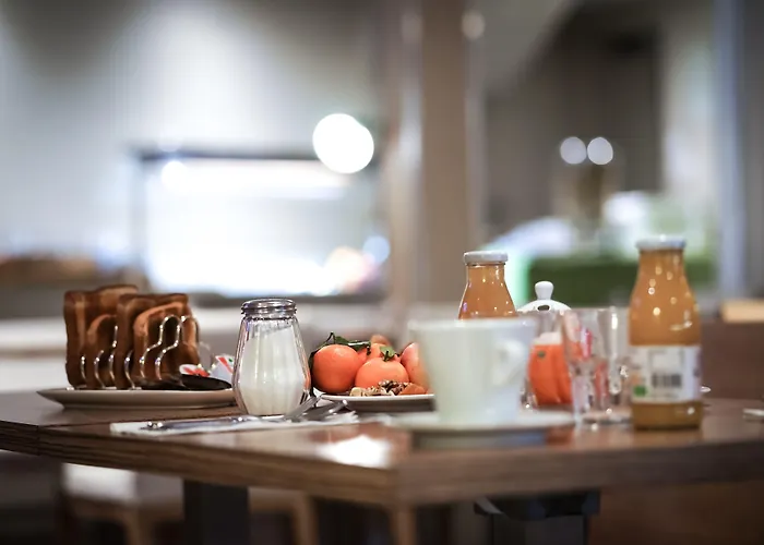Abelha Hotel Le France