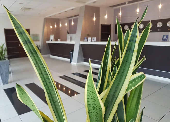Best Western Hotel Class Lamezia