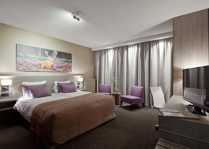 Hotel Van Der Valk Spier Dwingeloo