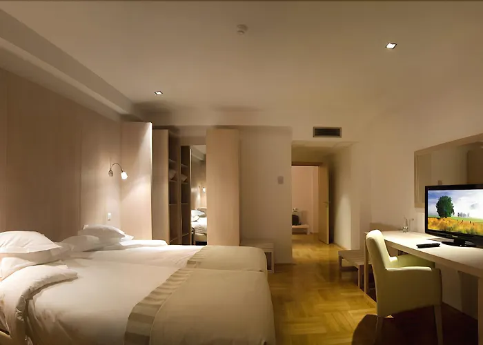 Hotel Satu Mare City