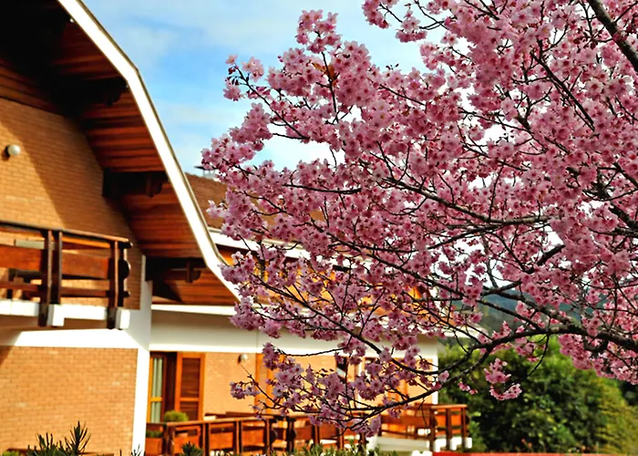 Hotel Matsubara