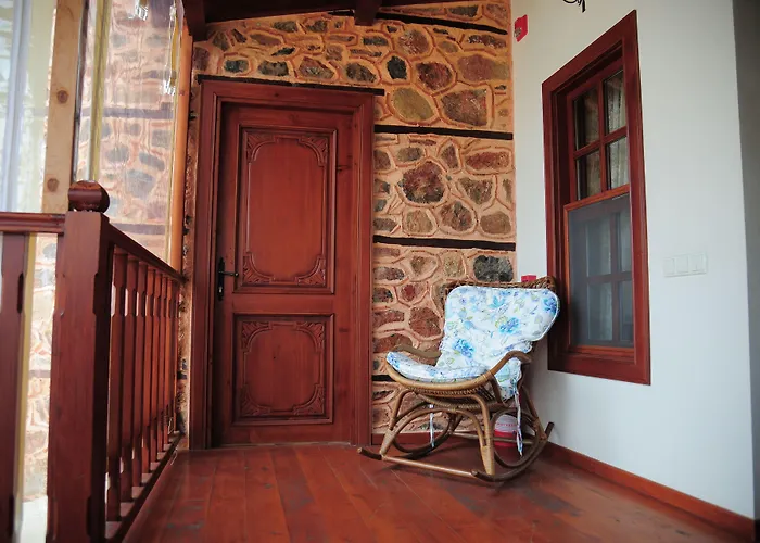 Hotel Villa Turka