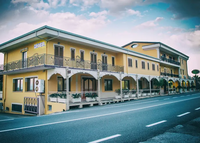 Palmed Hotel