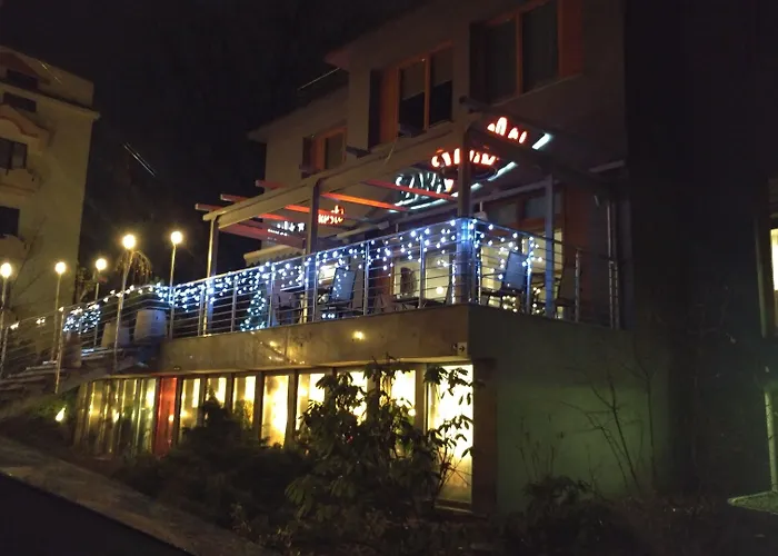 Hotel Szara Willa