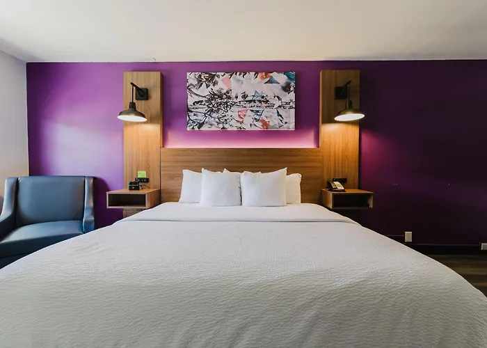 La Quinta Inn By Wyndham Amarillo Mid-City