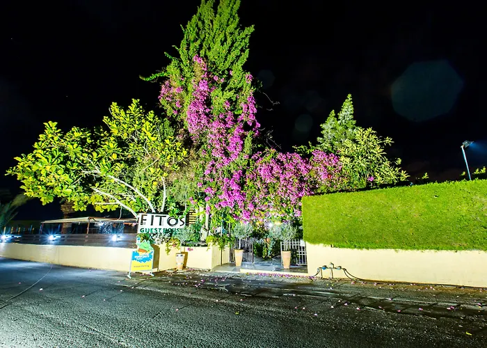 Fitosinn Hotel