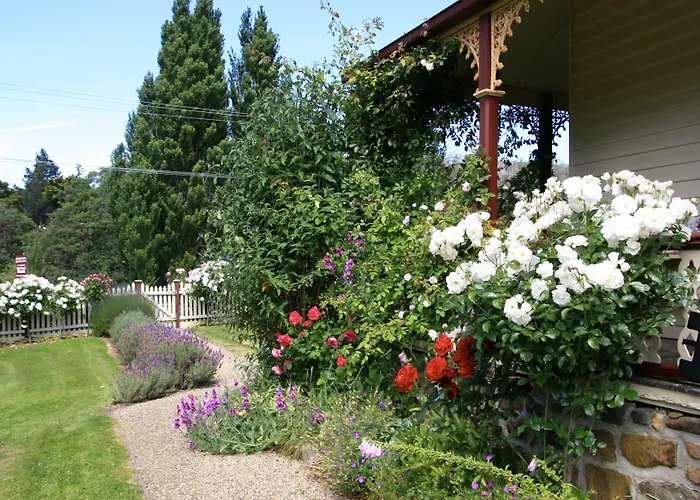 Cambridge House B&B