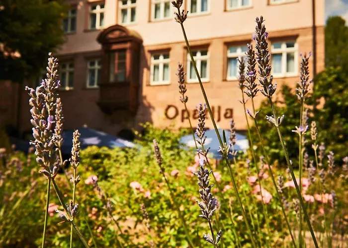 Hotel Hauser Boutique
