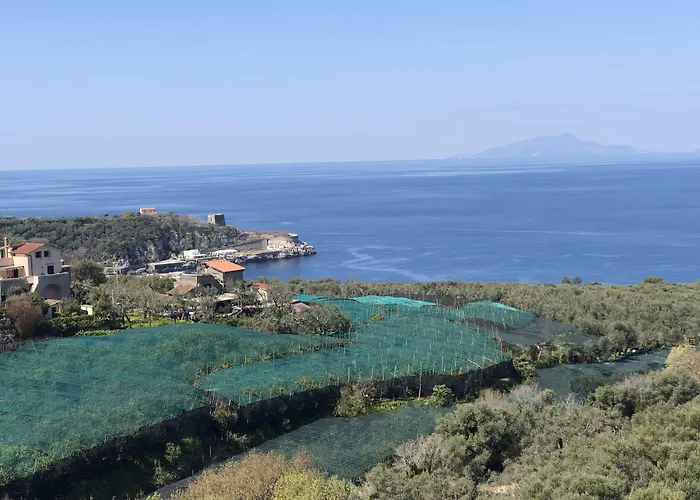 Hotel Dania