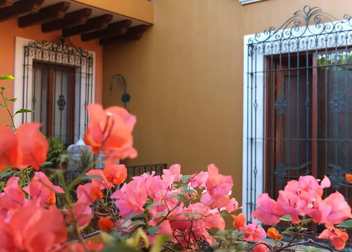 Hotel Boutique Parador San Miguel Oaxaca