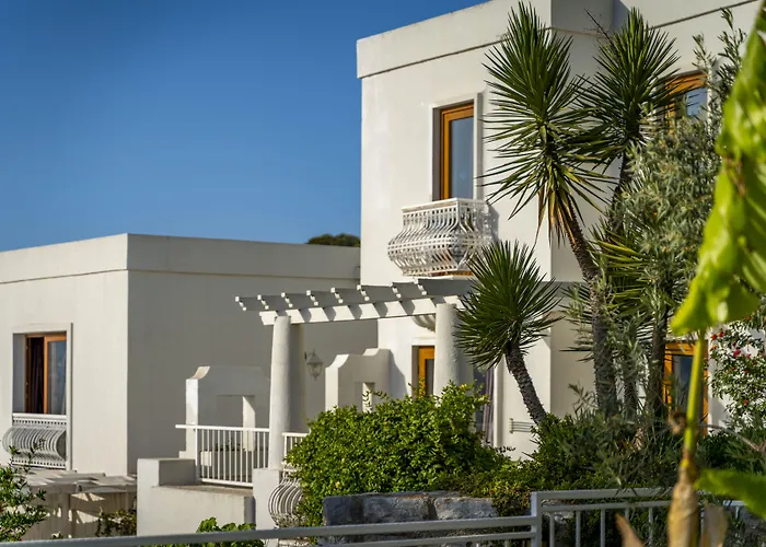 Riva Bodrum Resort- Adult Only +16 Gümbet