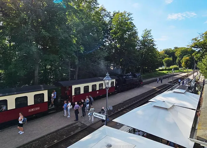Mollibahnhof - Heiligendamm Mollibahnhof Heiligendamm DZ 04