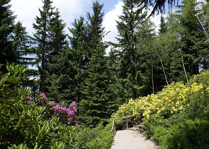 Pension Haus Saarland Oberhof 