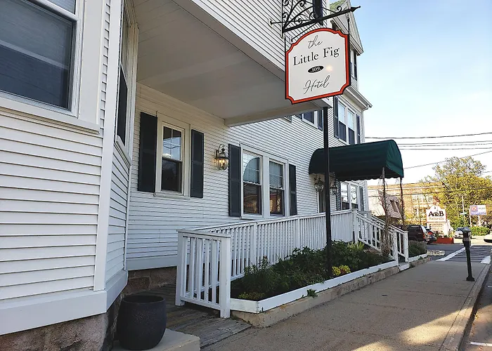 Little Fig Hotel Bar Harbor