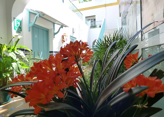 Hostal Campo Nuevo