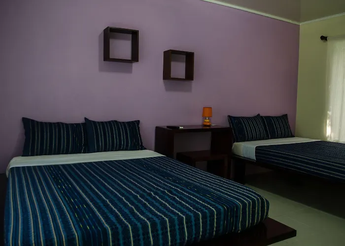 Hotel Colores Del Arenal