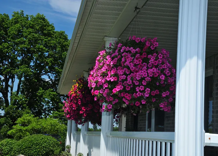 Golden Pathways Retreat B&B