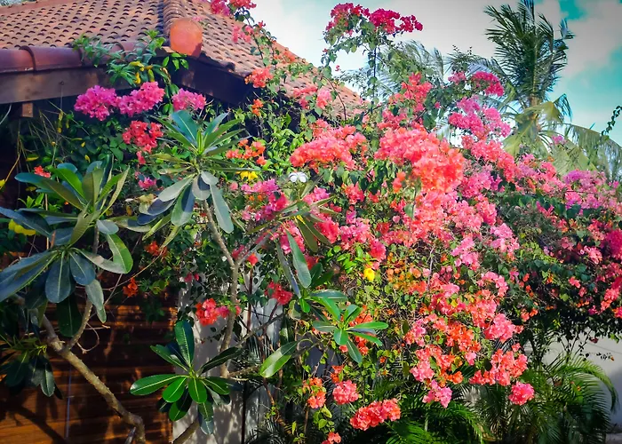 Belukar Villas