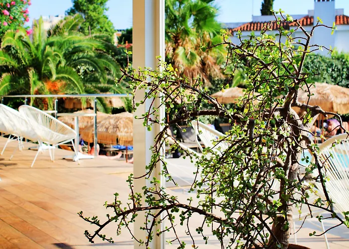 Hotel Vista Odin