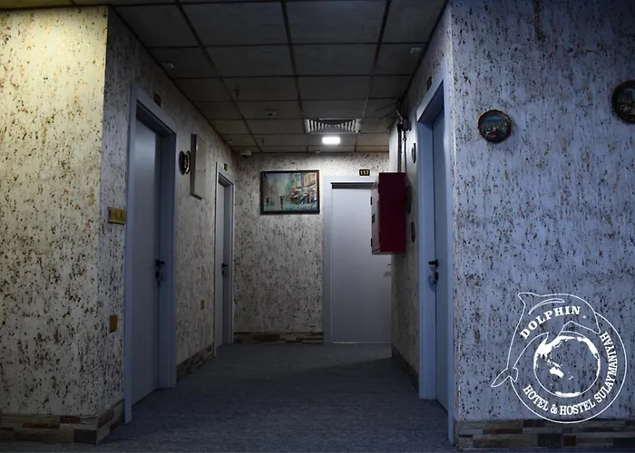 Dolphin Hotel & Hostel Sulaymaniyah فندق دولفين السليمانية