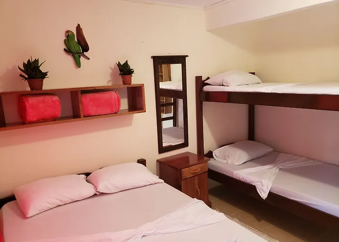 Cabinas Pura Vida Bed&Breakfast