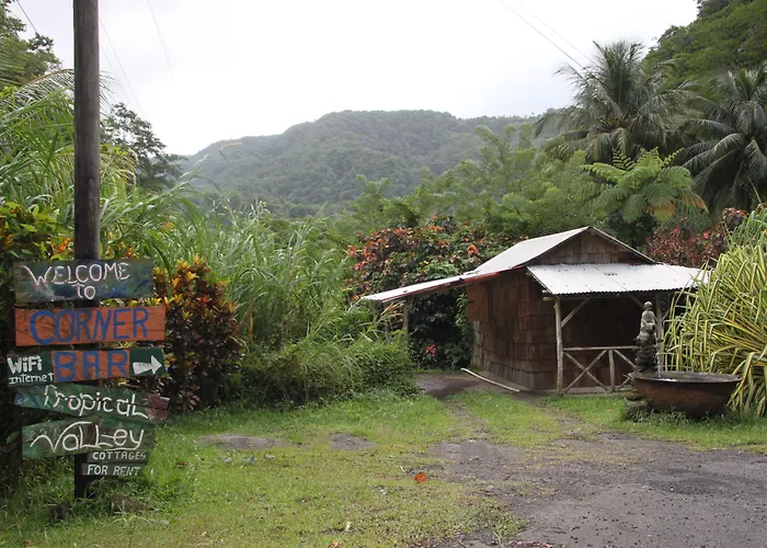 Natty Tropical Valley