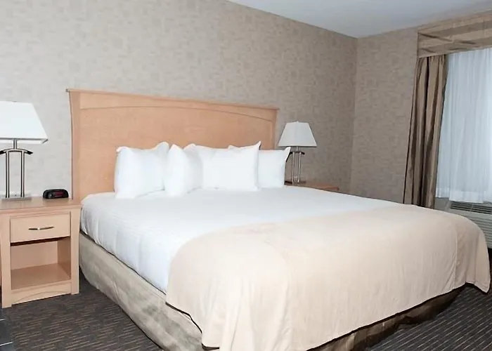 Paradise Inn And Suites