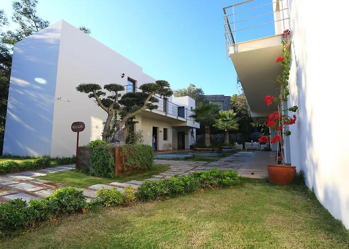 The Lifeco Bodrum Well-Being Detox Center And Vegan Hotel (Adults Only)