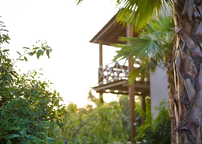 The Lifeco Bodrum Well-Being Detox Center And Vegan Hotel (Adults Only)