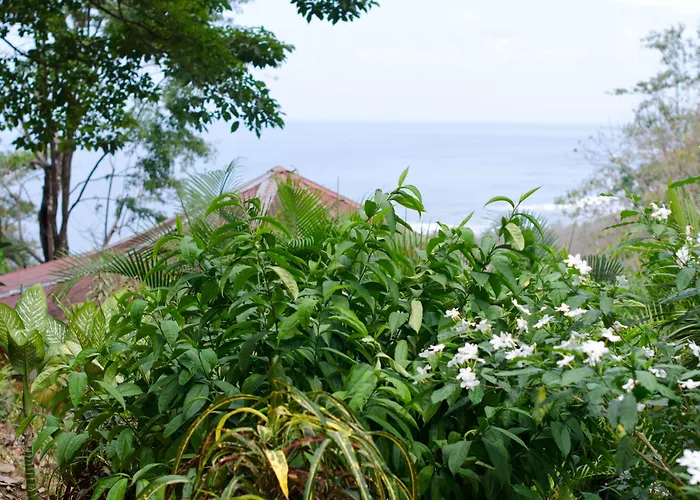 Hotel Vista de Olas