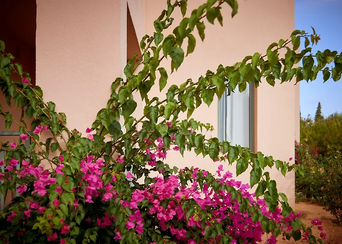Village Heights Resort