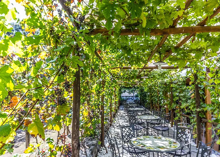 Resort & Winery Bosco De Medici