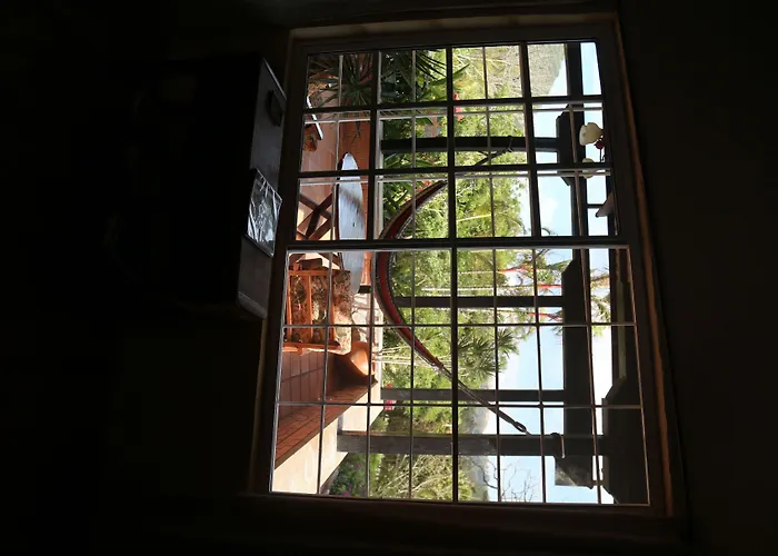 The Golden Frog Inn