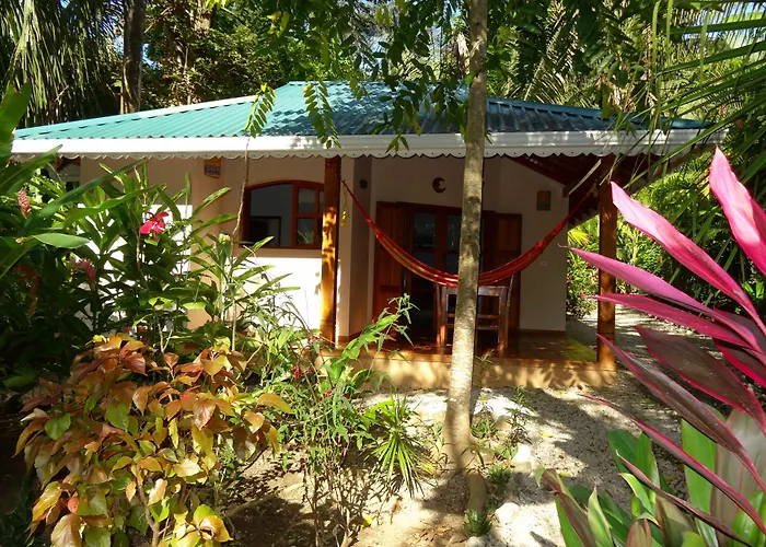 Hotel El Pequeno Gecko Verde