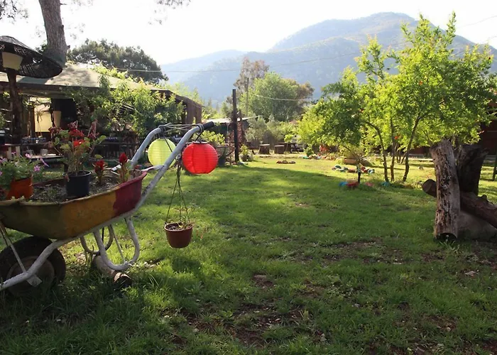 Koala Bungalows